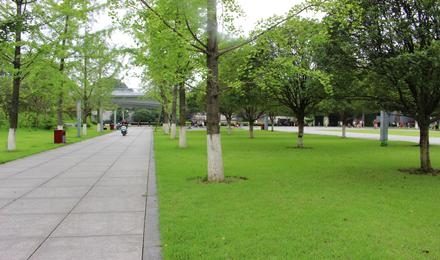 長沙·湘府文化公園養(yǎng)護(hù)項(xiàng)目